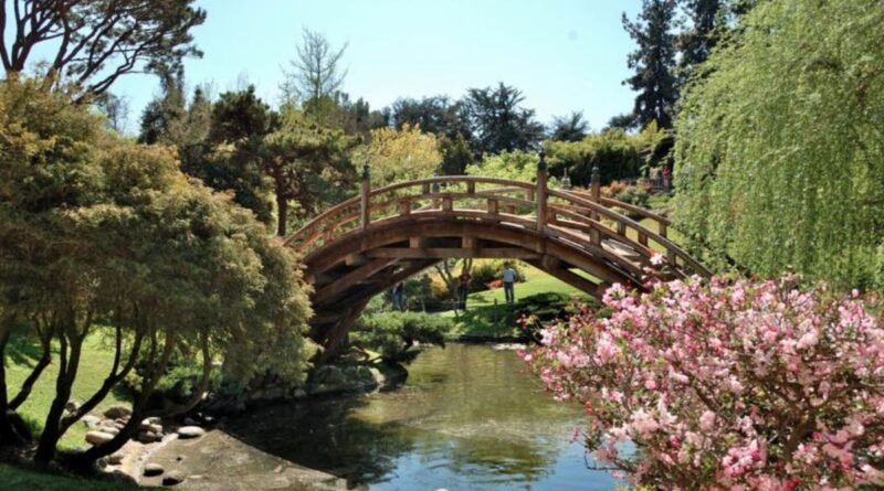 8 Activities and Tips for Senior Loved Ones in the San Gabriel Valley